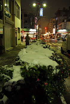 snow2.jpg