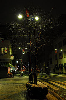 snow4.jpg